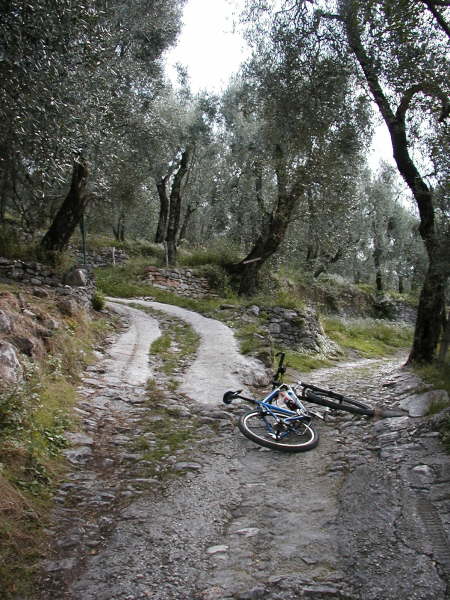 Rechts auf dem Hauptweg weiter