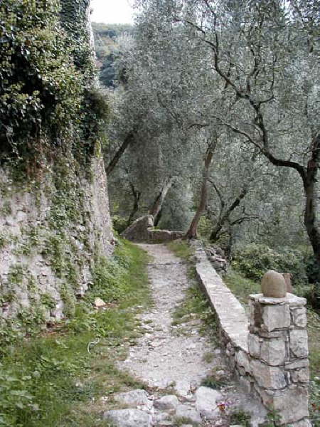 Weiter auf dem schmalen Pfad
