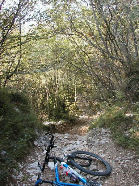 mit kurzen Schiebestcken