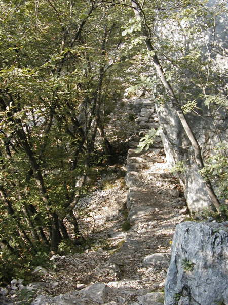 Das Bike bergauf die Stufen tragen