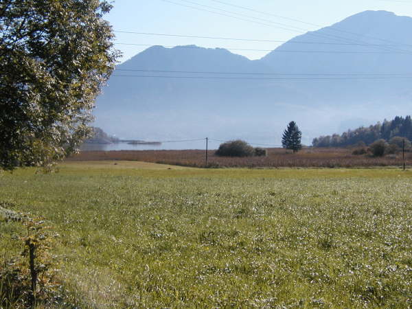Blick auf den Kochelsee