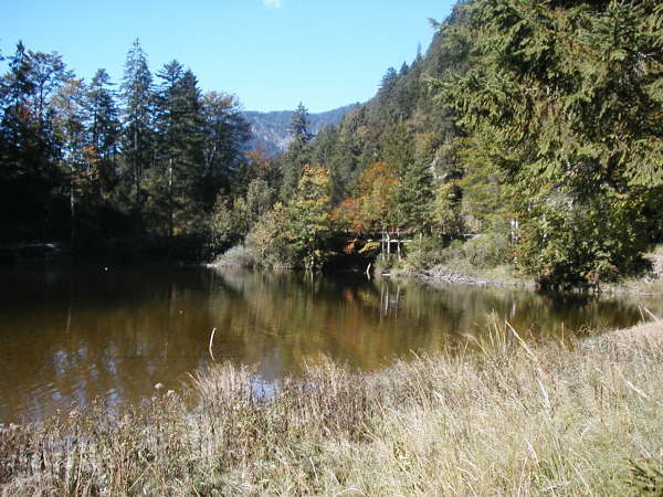Blick zur Brcke ber den Wasserfall