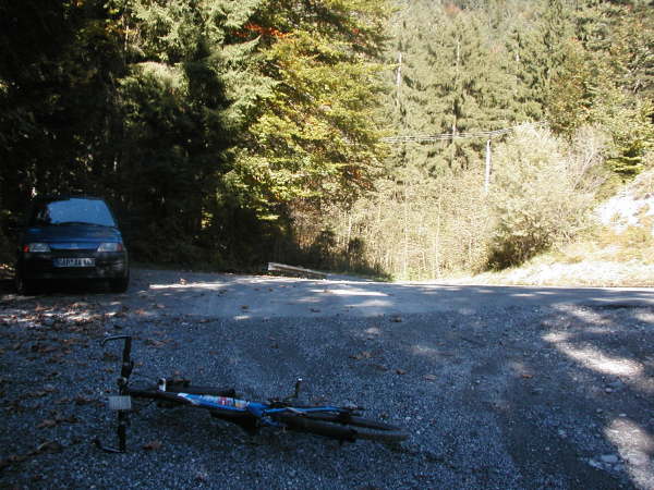 Mndung an der Asphaltstrae