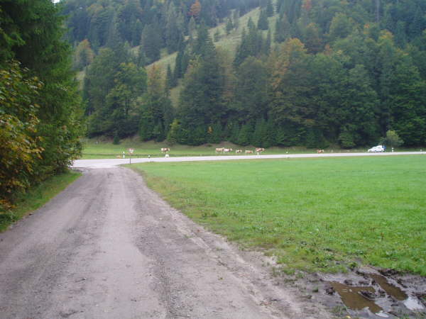 Einfahrt zum Parkplatz
