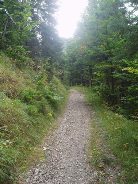 Der Weg wird schmller