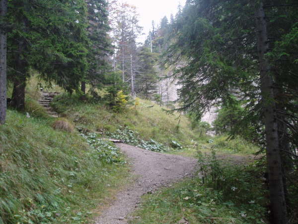 Ende des Weges. Kurze Tragestrecke