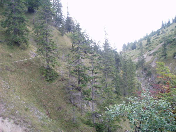 Dem Pfad weiter zum Sattel folgen