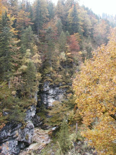 Blick in die Schlucht