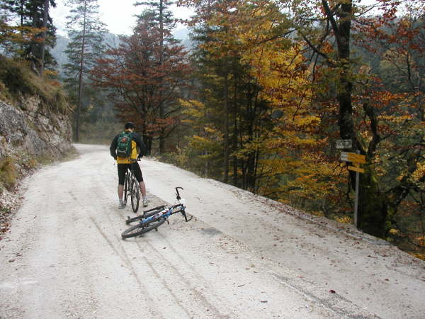Scharf rechts Richtung Schmalzklausenalm, Rofan abbiegen