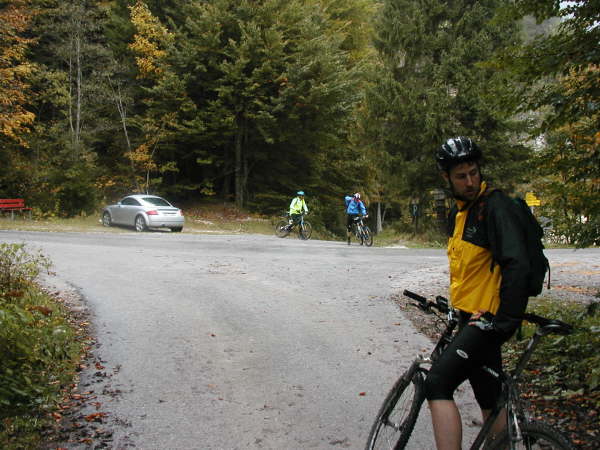 Mndung an der Asphaltstrae