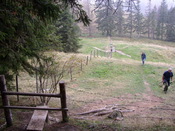 Dem Trial bergab folgen