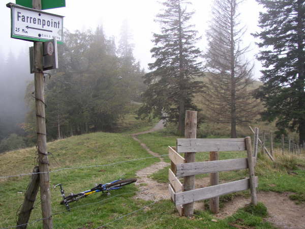ber das Gatter wieder leicht bergauf