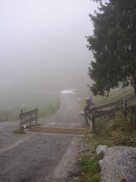 Dem Weg bergab folgen