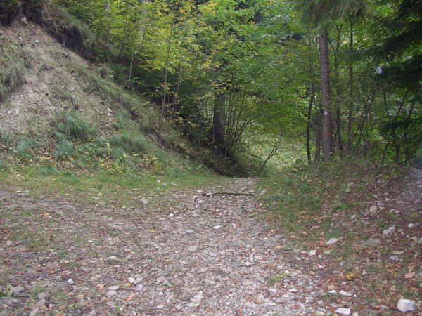 geradeaus weiter fahren