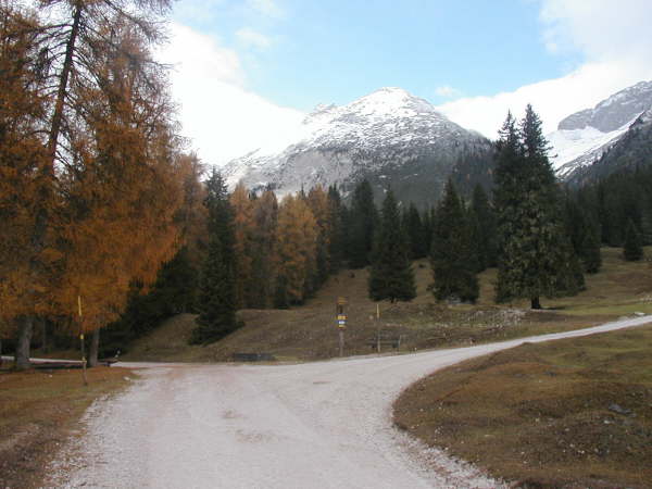 Links weiter Richtung Hohenfeldern, Ehrwalder Alm
