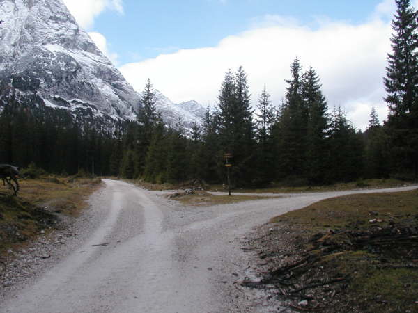 Rechts hoch auf den Hochfeldern Weg