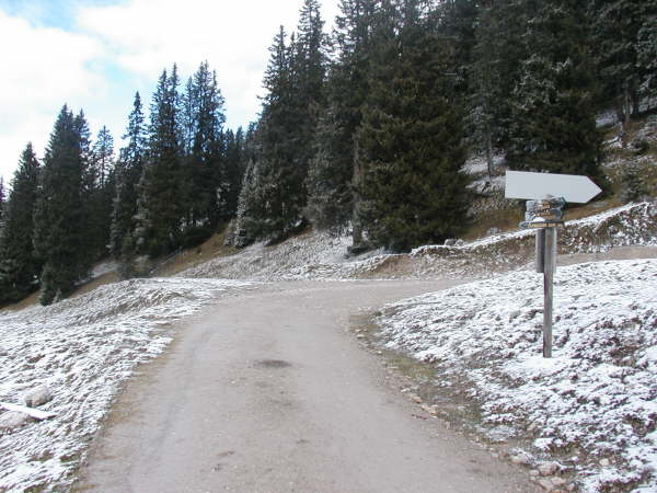 Geradeaus weiter Richtung Pestkapelle, Ehrwalder Alm