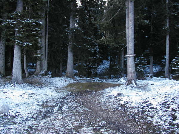 Abzweigung auf Trial
